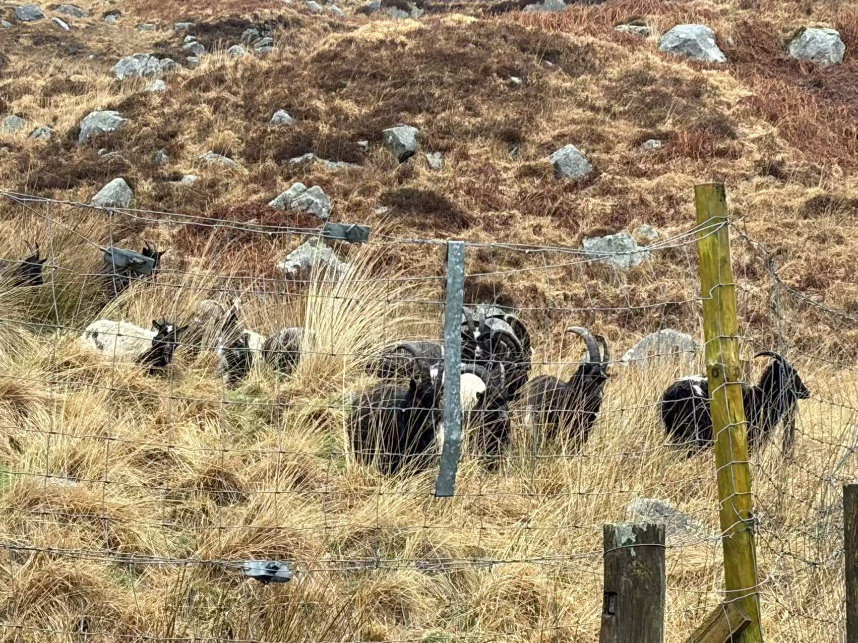 Scotland trip photo 2